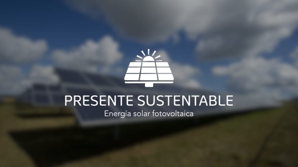 Creamos la identidad de marca de Presente Sustentable