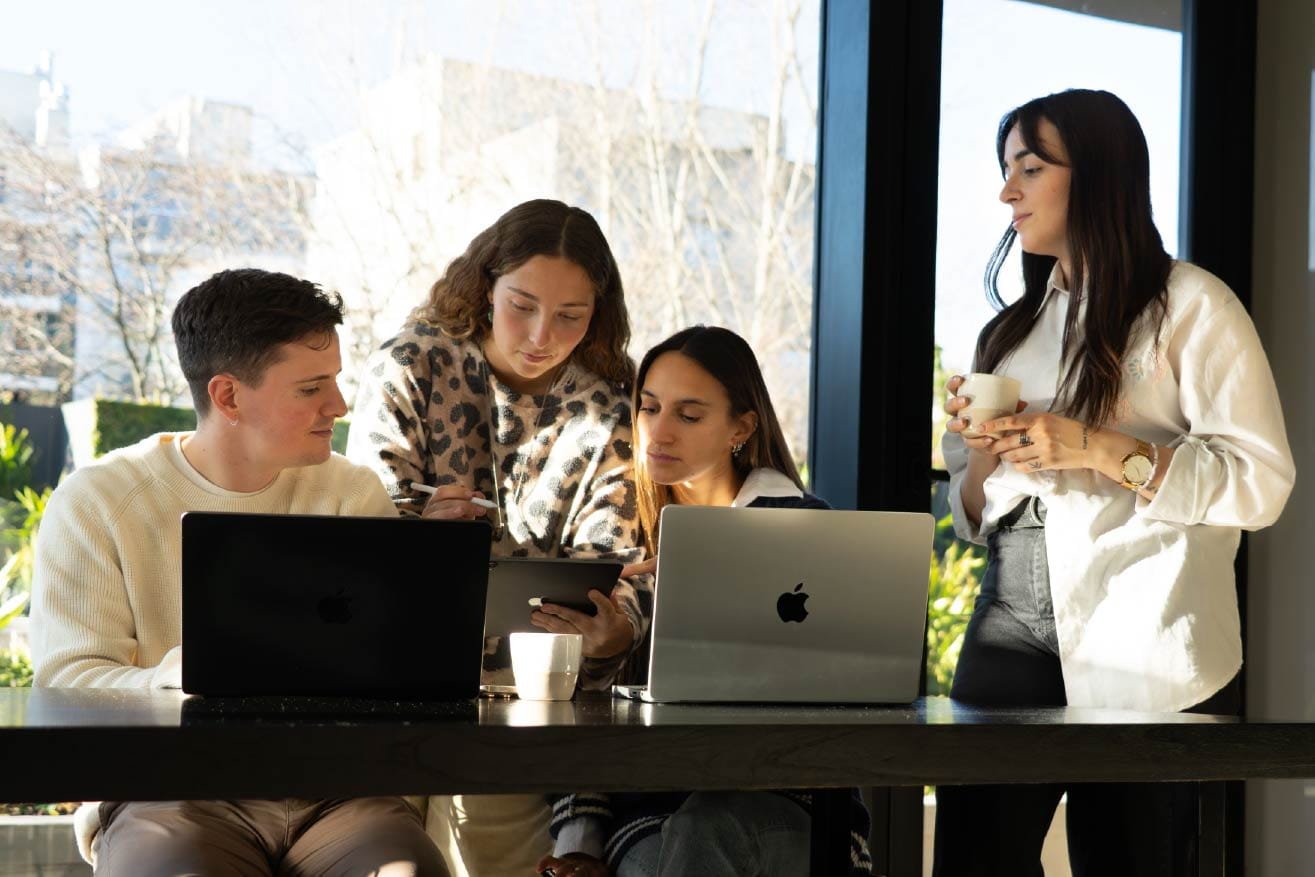 Diseño web profesional en Mar del Plata - Concepto Innova